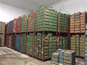 اهمیت احداث سردخانه در زمین کشاورزی