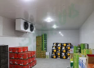 نکات احداث سردخانه در زمین کشاورزی